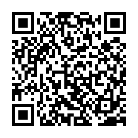 QR code for VN9533