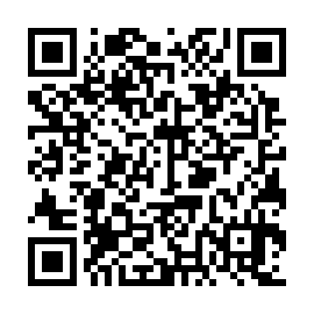 QR code for VNG334
