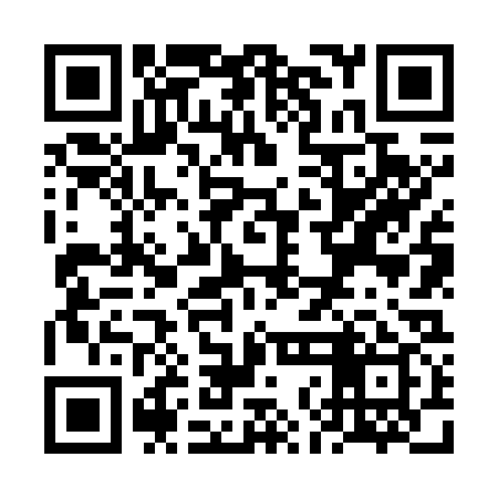 QR code for VNN739