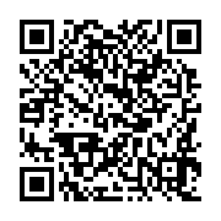 QR code for VNX397