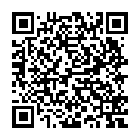 QR code for VPI619