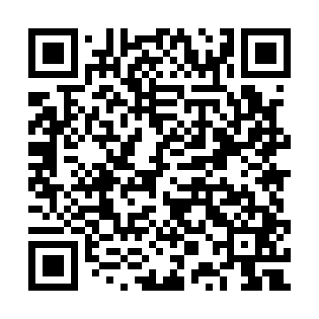 QR code for VPM141