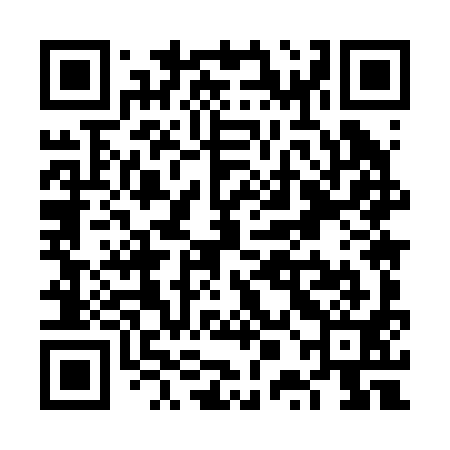QR code for VPM291