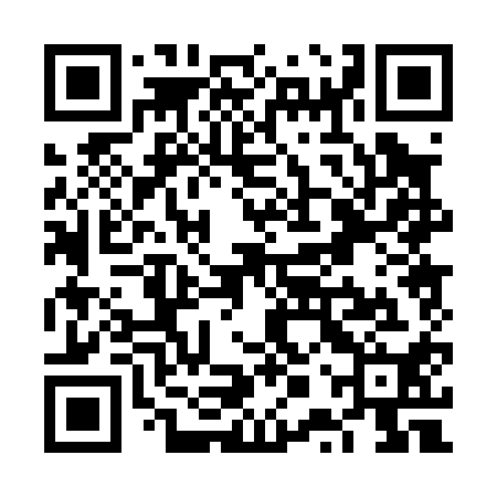 QR code for VPP010