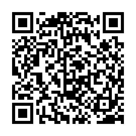 QR code for VQ1333
