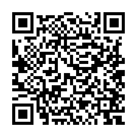QR code for VQ29424