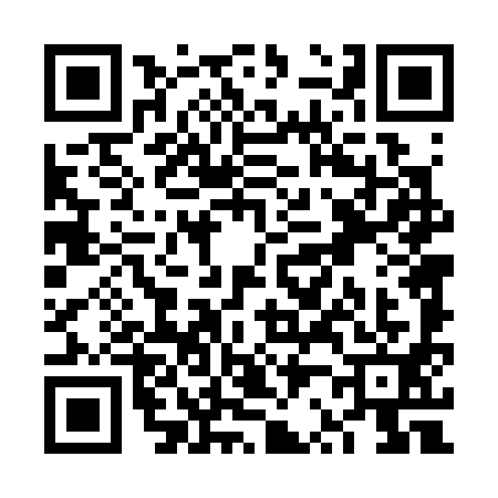 QR code for VR43919