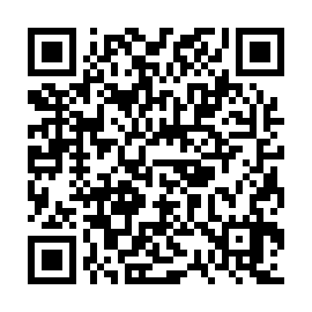 QR code for VS3137