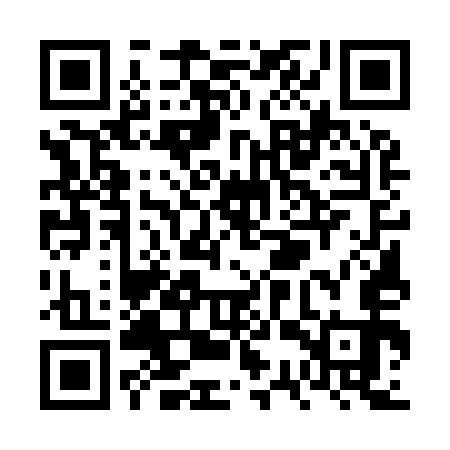 QR code for VSU953