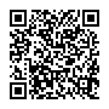 QR code for VSV995