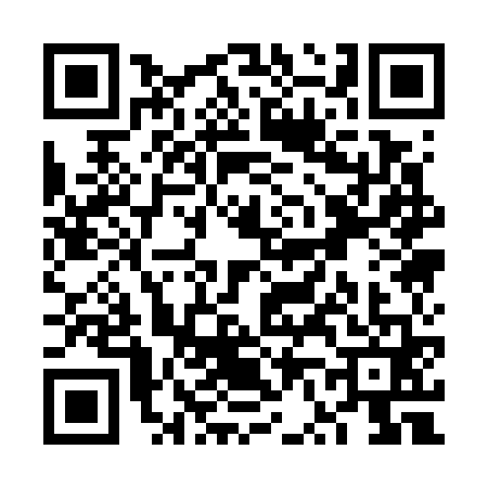 QR code for VV17617