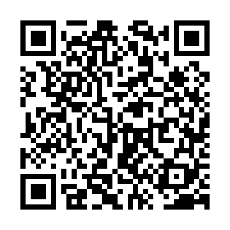 QR code for VV6169