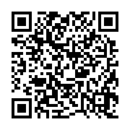 QR code for VVS336