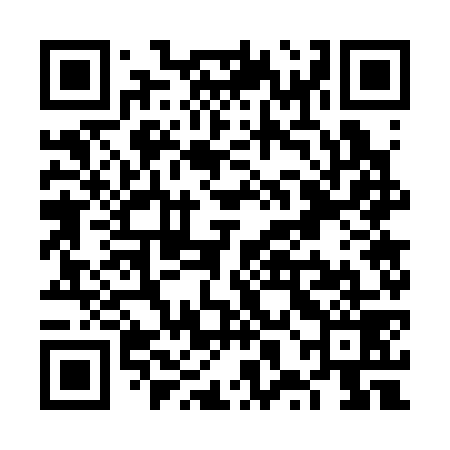 QR code for VXG379