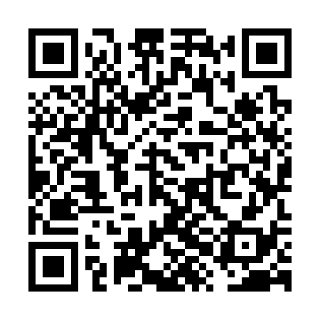 QR code for VXK338
