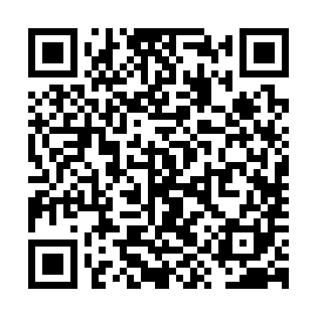 QR code for VYR381