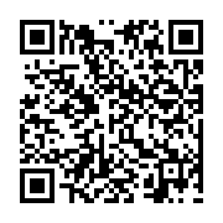 QR code for VYS381