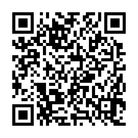 QR code for VZR394