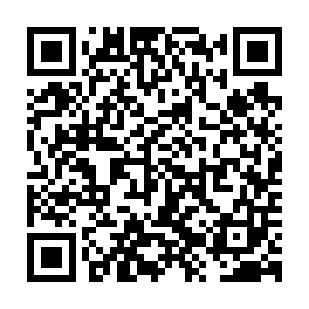 QR code for VZS603
