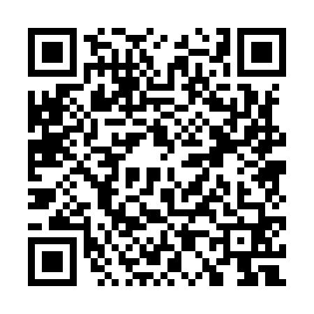 QR code for W009607