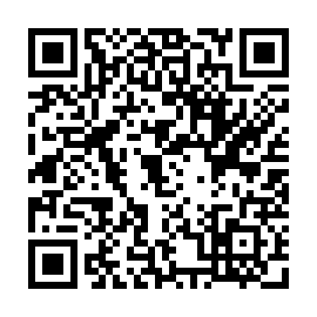 QR code for W013222