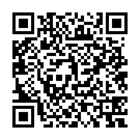 QR code for W027389