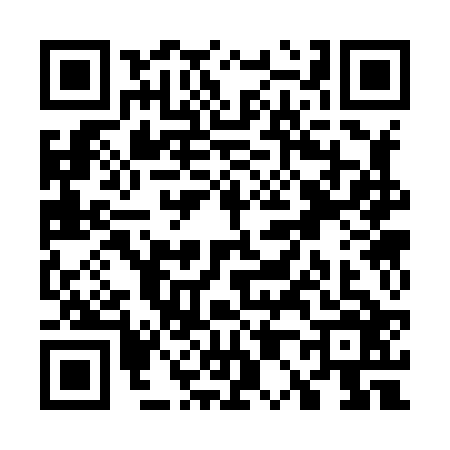 QR code for W038260