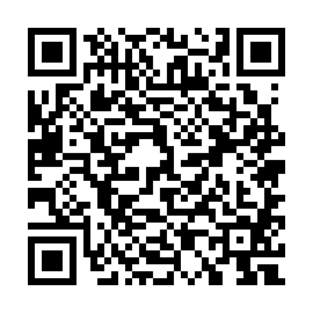 QR code for W053843