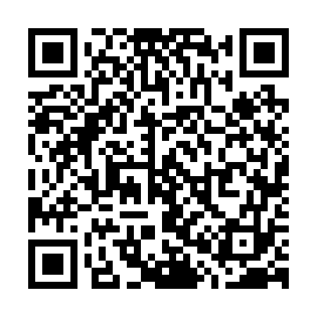 QR code for W06273