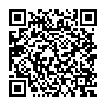QR code for W080439