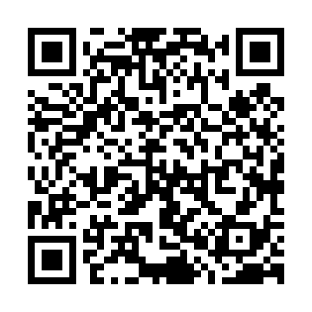 QR code for W08438