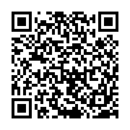QR code for W09017