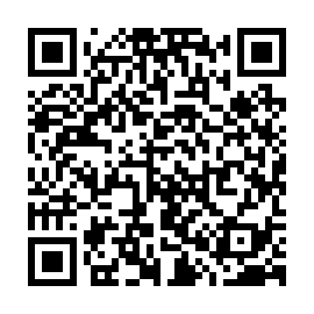 QR code for W09239