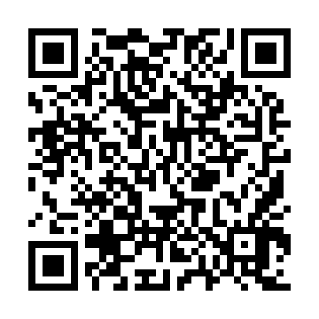 QR code for W09946