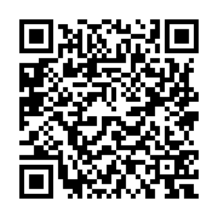 QR code for W099737