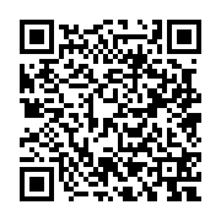 QR code for W100204