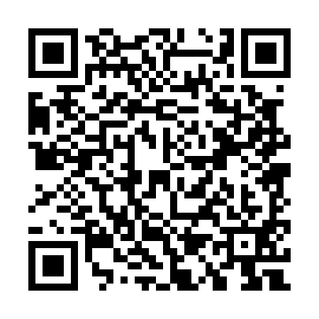 QR code for W100919
