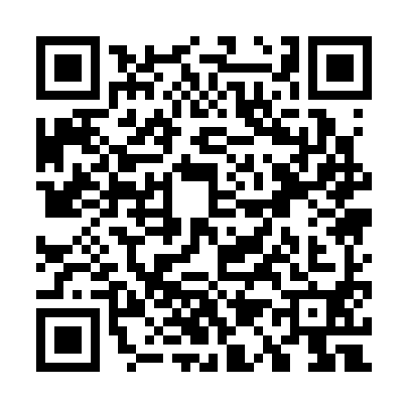 QR code for W113907