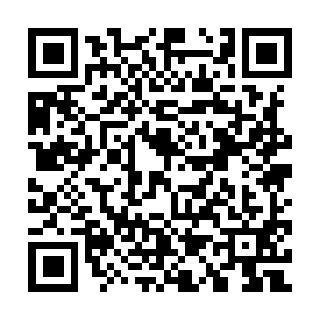 QR code for W119911