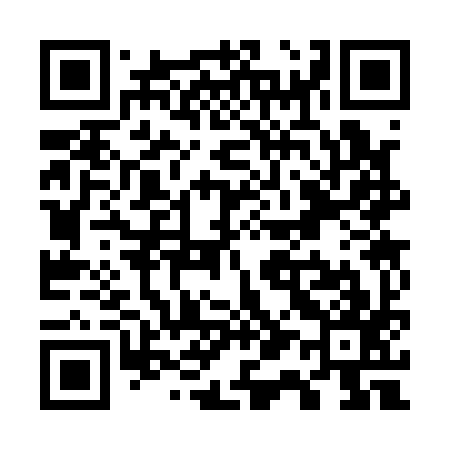 QR code for W13197