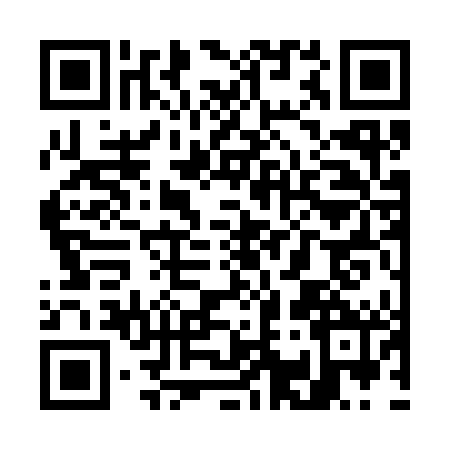 QR code for W133424