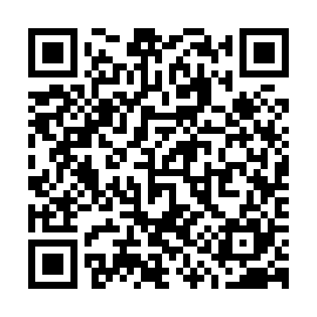 QR code for W13825