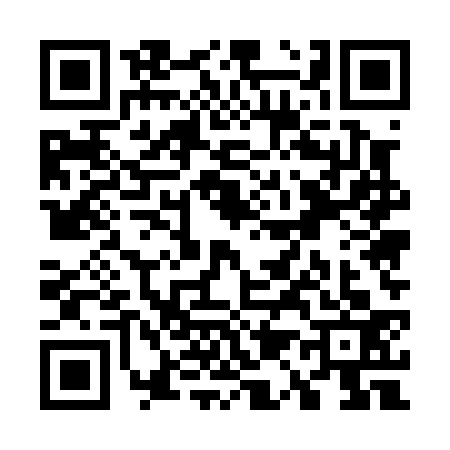 QR code for W150335