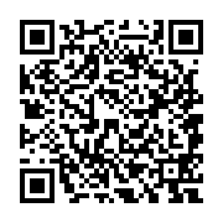 QR code for W161986