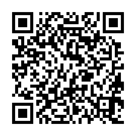 QR code for W17390