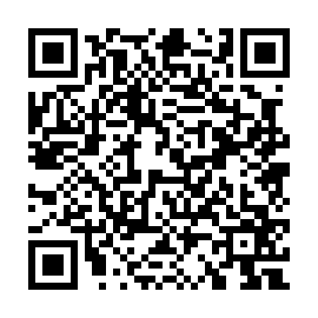 QR code for W200660
