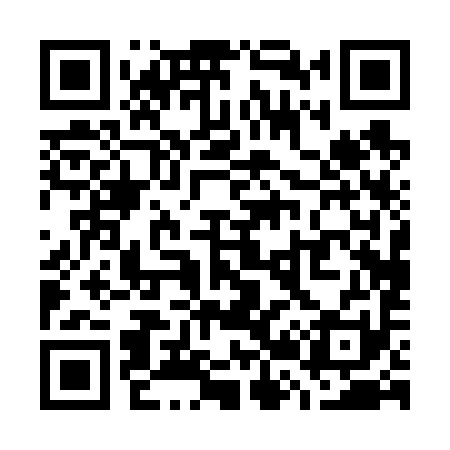 QR code for W20691