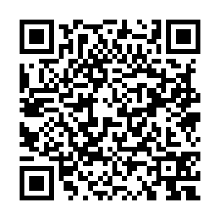 QR code for W219348