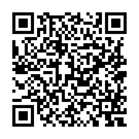 QR code for W219851