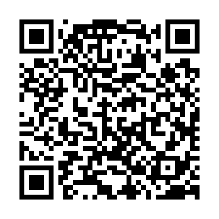 QR code for W22738